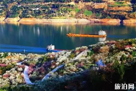 2019第二届长江三峡巫山李花节3月16日开启