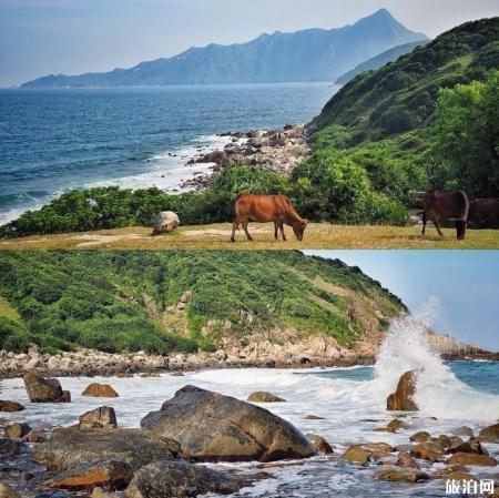 香港塔门岛露营攻略