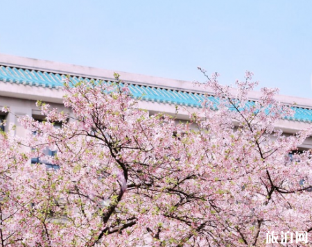武汉大学看樱花怎么预约 2019武大看樱花门票要预约吗
