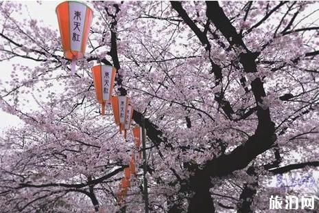 日本动漫赏樱花胜地盘点