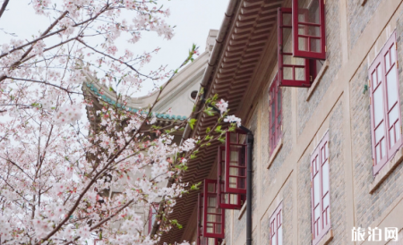 武汉大学看樱花怎么预约 2019武大看樱花门票要预约吗