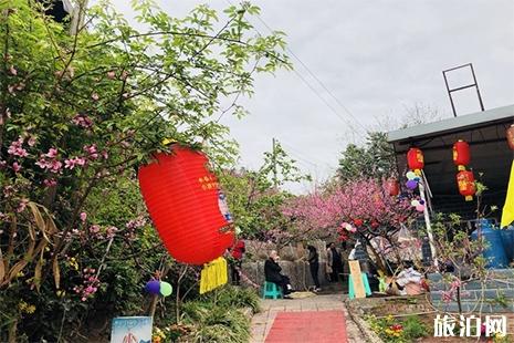 成都龍泉2019桃花節 門票+地點+賞花攻略