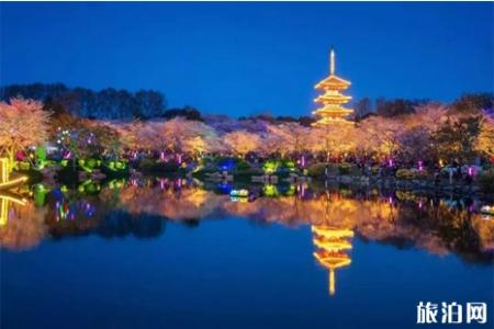 2019武汉东湖樱花节攻略