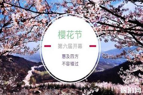 2022山东樱花山风景区樱花节活动攻略