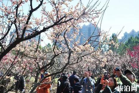 2019上海公園賞花攻略