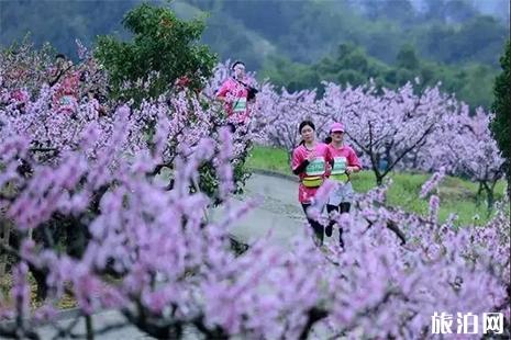 2019奉化水蜜桃文化节 附活动时间表