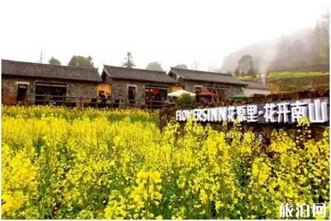 2019寧波桑洲油菜花節(jié)3月15日開啟