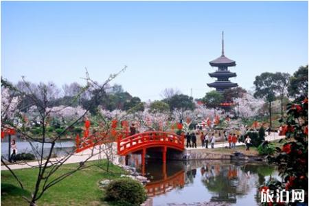 2019东湖樱花节便民交通指南