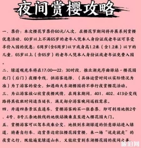 武汉东湖夜樱攻略