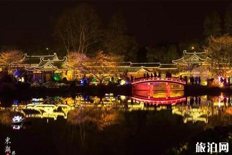 武汉东湖夜樱攻略