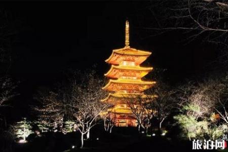 武汉东湖夜樱攻略