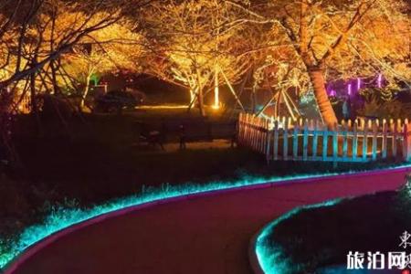 武汉东湖夜樱攻略