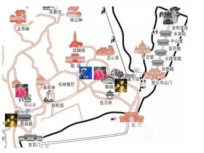2019北京香山公园赏花攻略