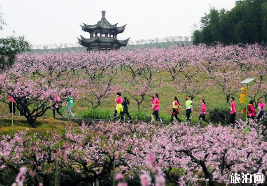 2019奉化桃花马拉松时间+地址+物资装备领取时间