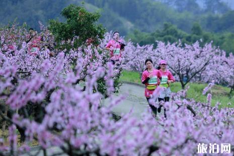 2019奉化桃花马拉松时间+地址+物资装备领取时间