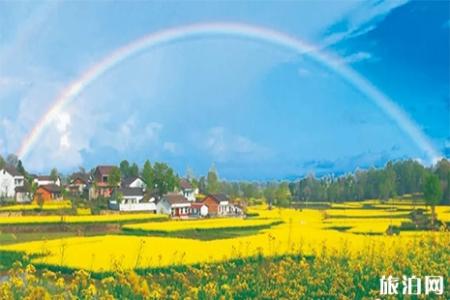 2022汉中油菜花节最新观花公交路线