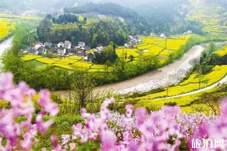 2022汉中油菜花节最新观花公交路线