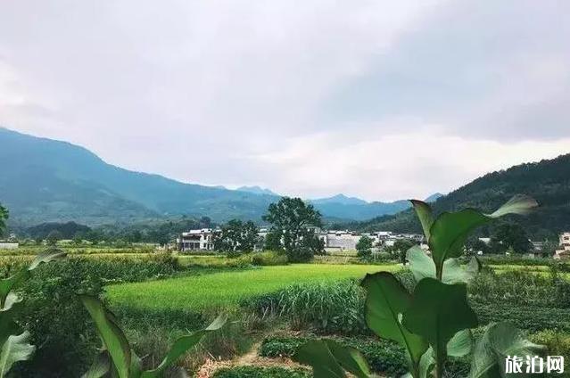 徽州3月份旅游景點