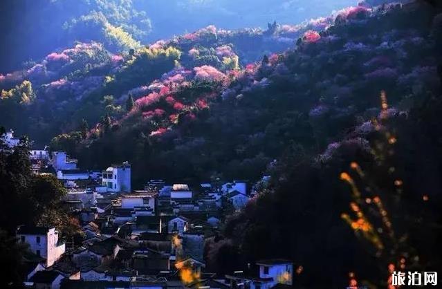 徽州3月份旅游景点