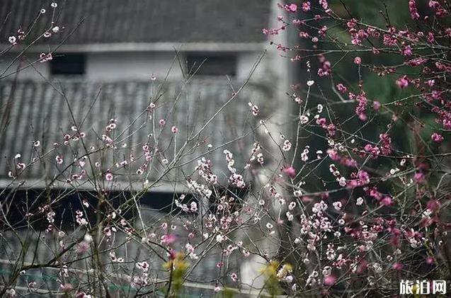 徽州3月份旅游景點