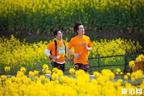 2019灌云油菜花节4月4日开启 附活动时间安排