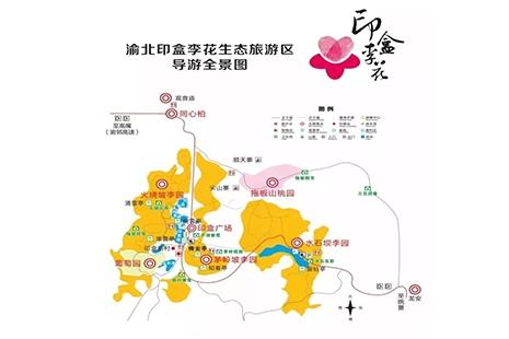 2019重庆第九届印盒李花节3月7日开启