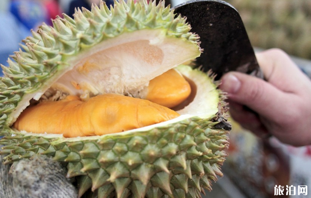 马来西亚榴莲哪里的最正宗 马来西亚哪里吃榴莲