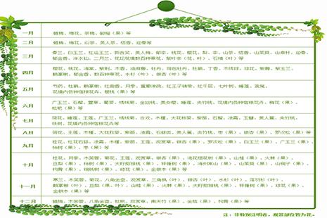 上海植物园 上海植物园在哪里 上海植物园门票