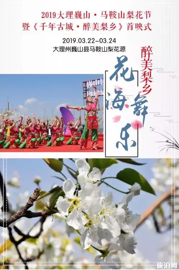 2019云南大理巍山马鞍山油菜花节3月22日开启