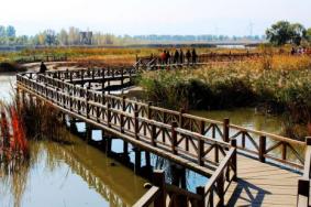 北京野鸭湖湿地公