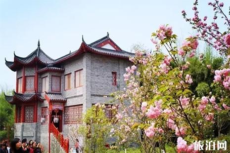 2019赣县樱花节周边有什么好玩的