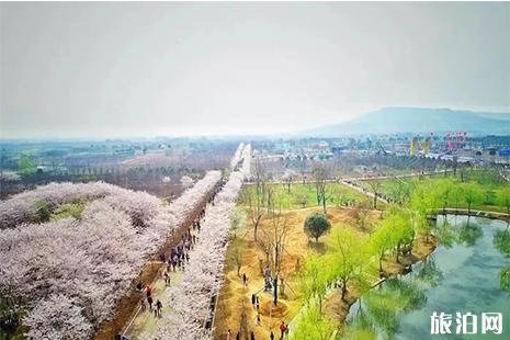 2019句容樱花节3月30日开启 附赏花攻略