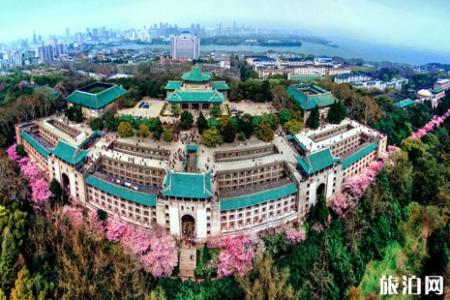 2022武汉大学校友预约樱花攻略