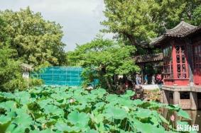苏州园林哪个最值得去