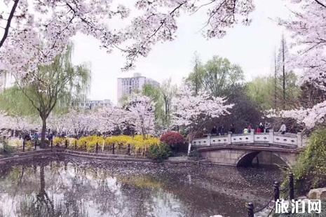 2022上海赏樱花的地方整理