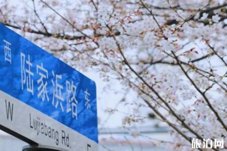 2022上海赏樱花的地方整理