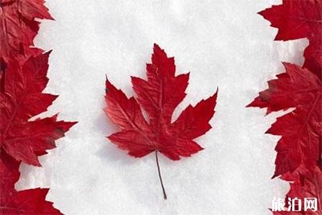 加拿大商务考察需要办理什么签证
