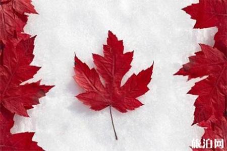 加拿大商务签证需要多久才能下来