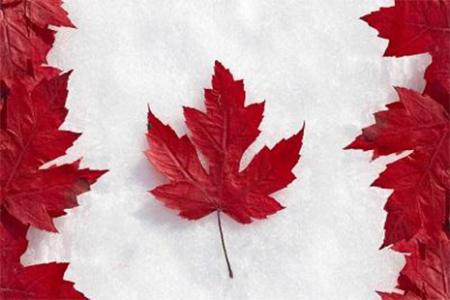 加拿大商务签证有效期是多久