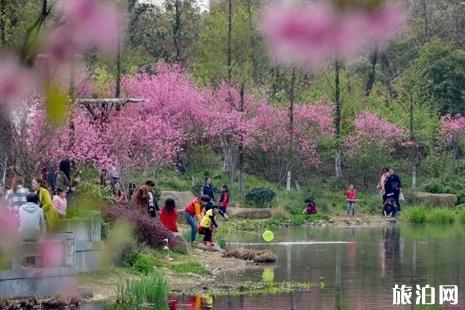 2019杭州皋亭观桃节时间+地点+活动内容