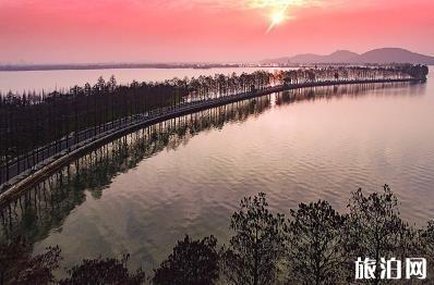 武大樱花预约不上怎么办 武大樱花预约网址进不去(正在排队+打不开网页)