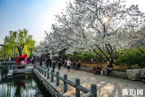 2019五龙潭樱花节时间+地点+门票+交通+介绍