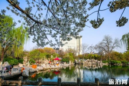 2019五龙潭樱花节时间+地点+门票+交通+介绍
