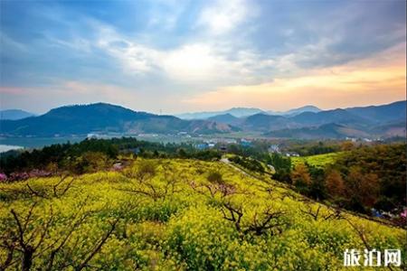 2019常州城山沟桃花节3月29日开启 附活动时间