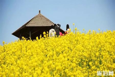 2019常州城山沟桃花节3月29日开启 附活动时间