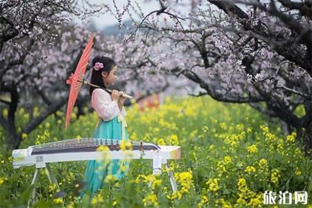 2019常州城山沟桃花节3月29日开启 附活动时间