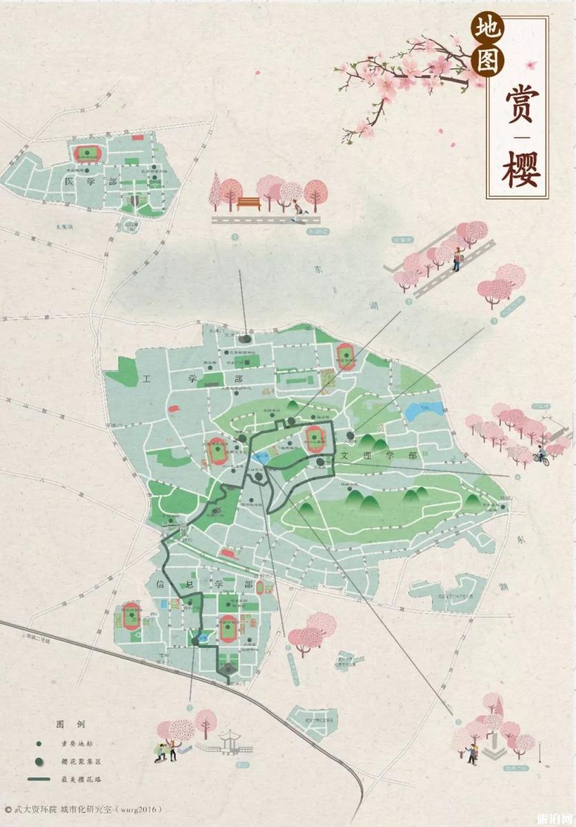 武汉大学樱花预约2019链接+赏樱路线 武汉哪里有樱花