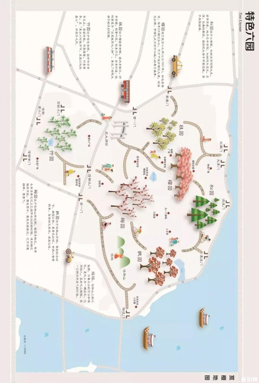 武汉大学樱花预约2019链接+赏樱路线 武汉哪里有樱花