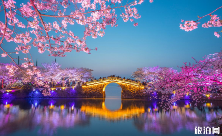 鼋头渚樱花什么时候谢 2019无锡鼋头渚夜樱票价+最佳观赏地+停车攻略