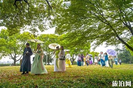 2019九峰山樱花什么时候开 九峰山樱花节3月23日开启